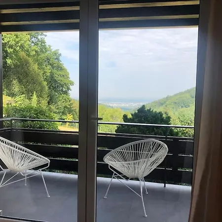 Panorama Domizil Im Schwarzwald In Einzigartiger Lage, Terrasse, 3 Schlafzimmer, Kamin, Direkt Am Waldrand, Nahe Baden-baden アパート