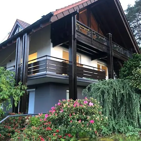 Panorama Domizil Im Schwarzwald In Einzigartiger Lage, Terrasse, 3 Schlafzimmer, Kamin, Direkt Am Waldrand, Nahe Baden-baden アパート Bühlertal